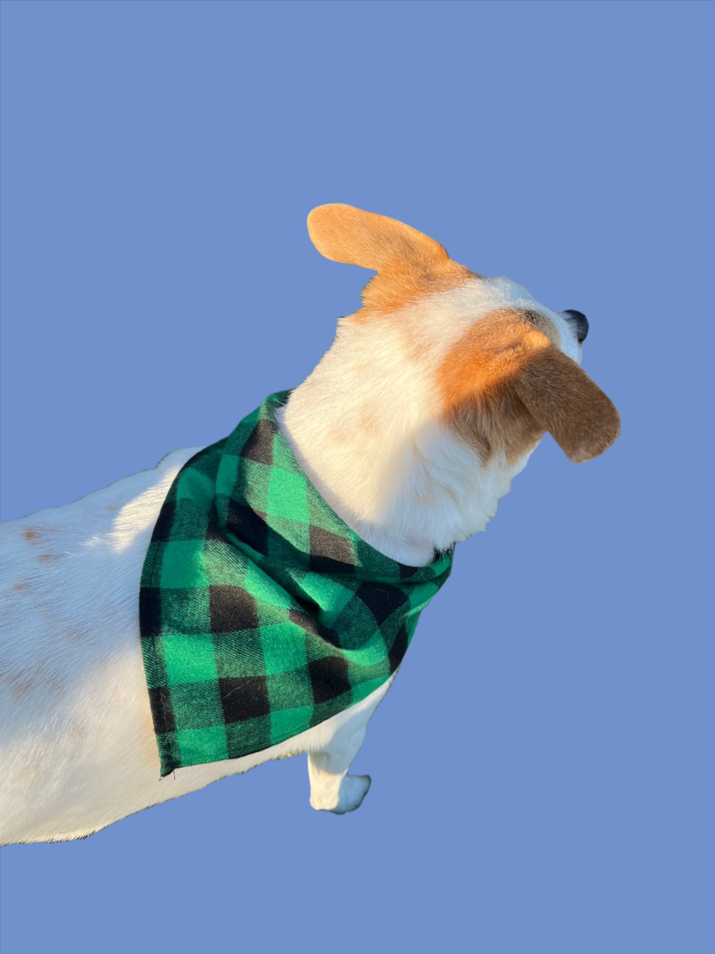 Holiday Plaid Pet Scarf, Dog, Cat, Bandana, Holiday Accessories, Red and black, Green and Black